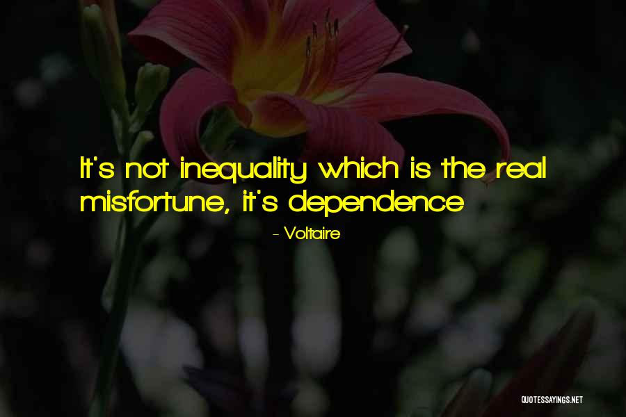 Voltaire Quotes 801396 Voltaire Quotes 801396