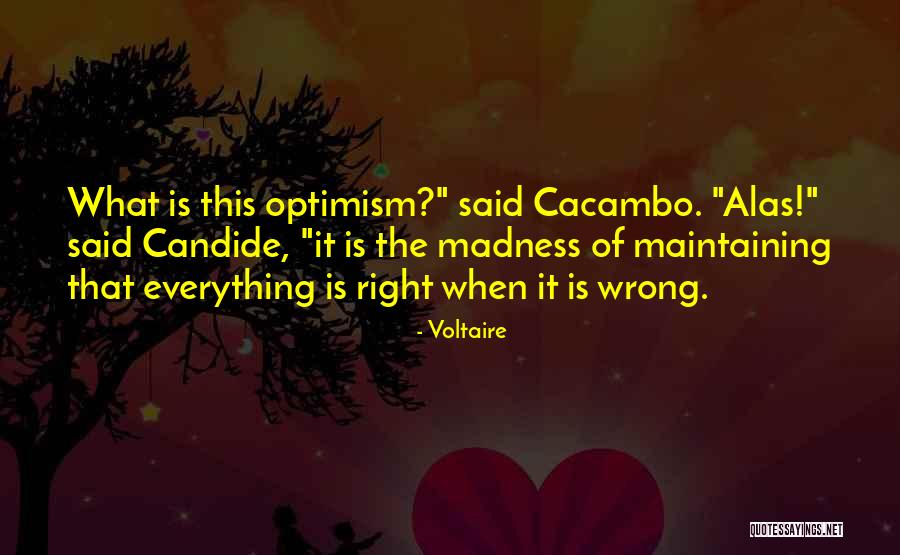 Voltaire Quotes 80746 Voltaire Quotes 80746