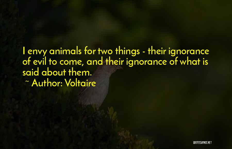 Voltaire Quotes 98870