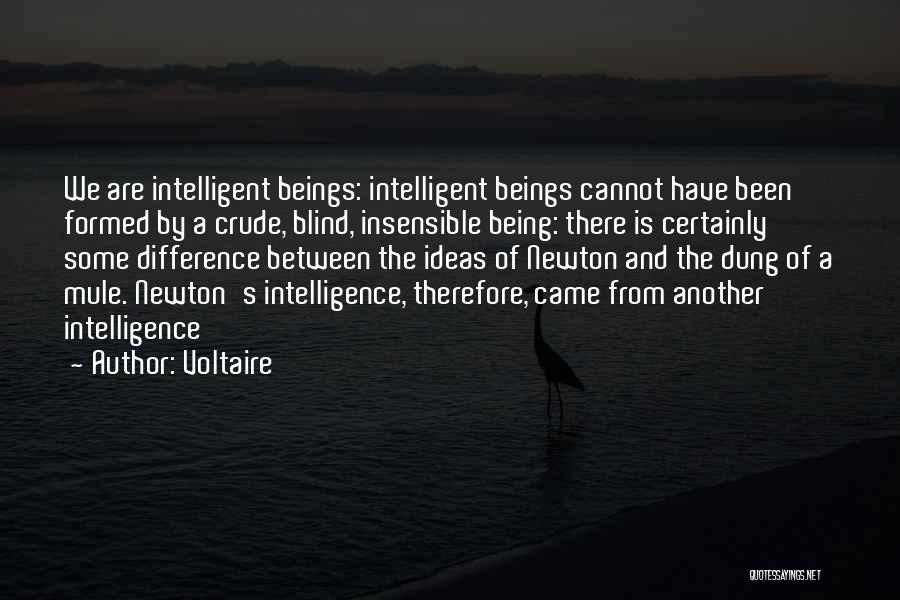 Voltaire's Quotes By Voltaire