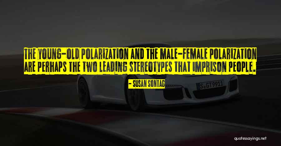 Voltamper Quotes By Susan Sontag Voltamper Quotes By Susan Sontag