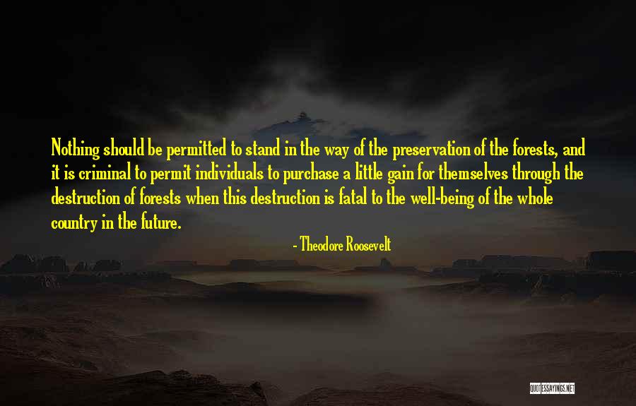 Voltolina Volleyball Quotes By Theodore Roosevelt Voltolina Volleyball Quotes By Theodore Roosevelt