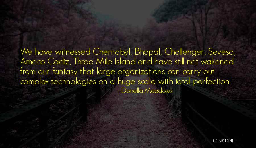 Volton Quotes By Donella Meadows Volton Quotes By Donella Meadows