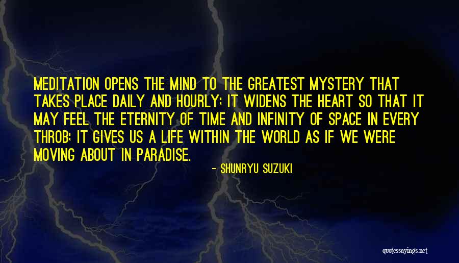 Voltron Lance Quotes By Shunryu Suzuki Voltron Lance Quotes By Shunryu Suzuki