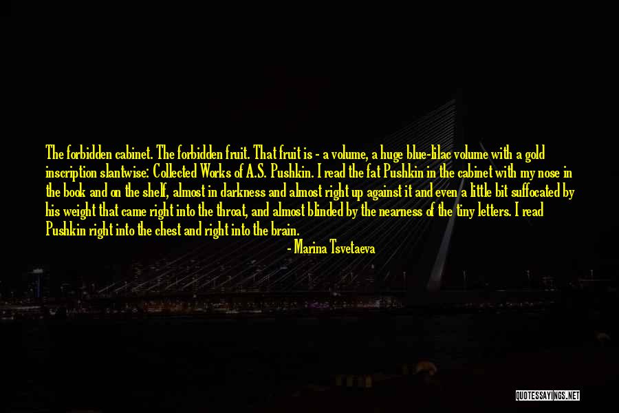 Volume Quotes By Marina Tsvetaeva Volume Quotes By Marina Tsvetaeva