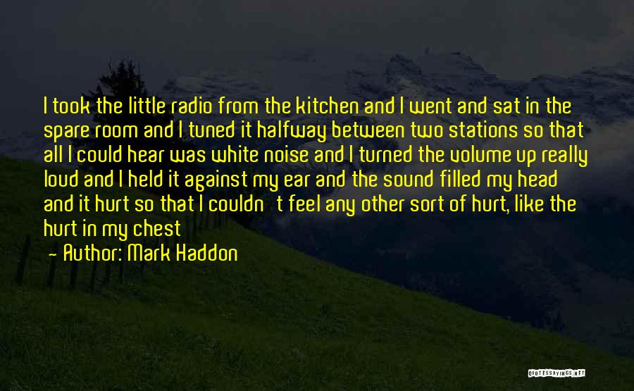 Volume Up Quotes By Mark Haddon