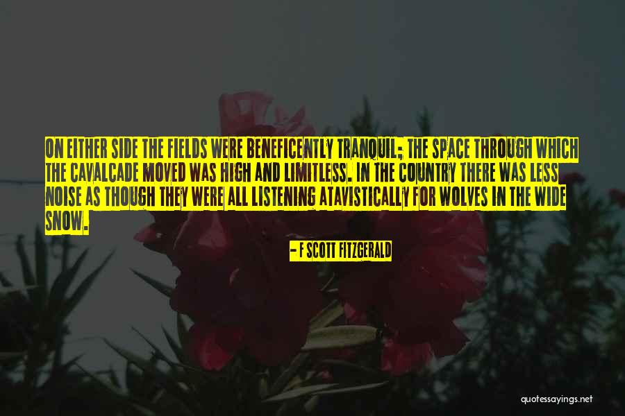 Volumizing Quotes By F Scott Fitzgerald Volumizing Quotes By F Scott Fitzgerald