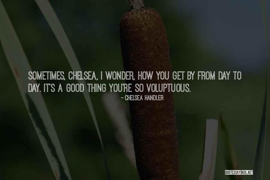 Voluptuous Quotes By Chelsea Handler