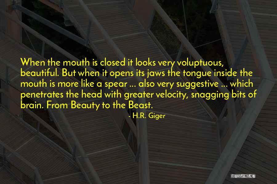 Voluptuous Quotes By H.R. Giger