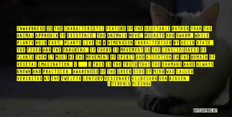 Von Bingen Quotes By Terence McKenna Von Bingen Quotes By Terence McKenna