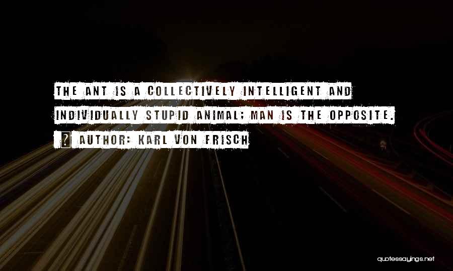 Von Frisch Quotes By Karl Von Frisch