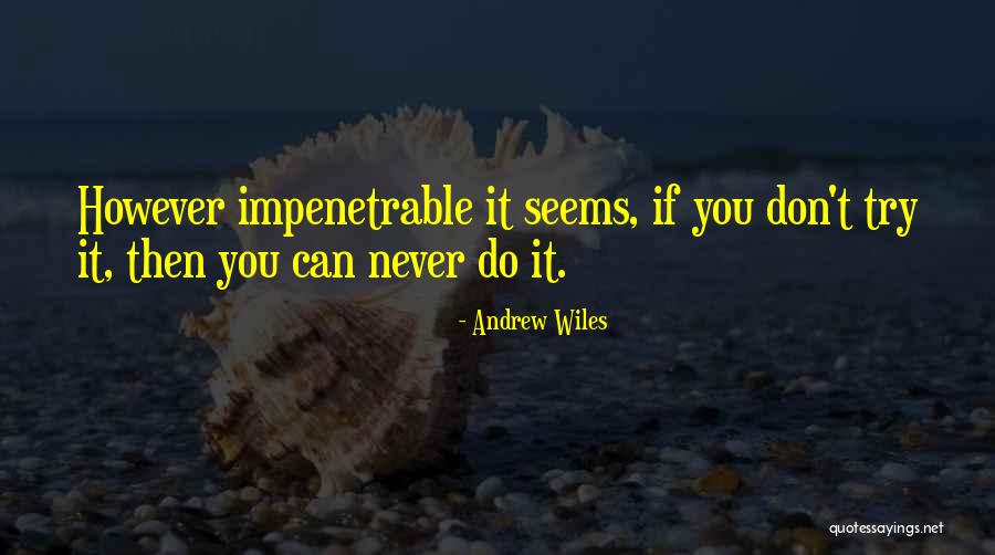 Vondersaar Construction Quotes By Andrew Wiles Vondersaar Construction Quotes By Andrew Wiles