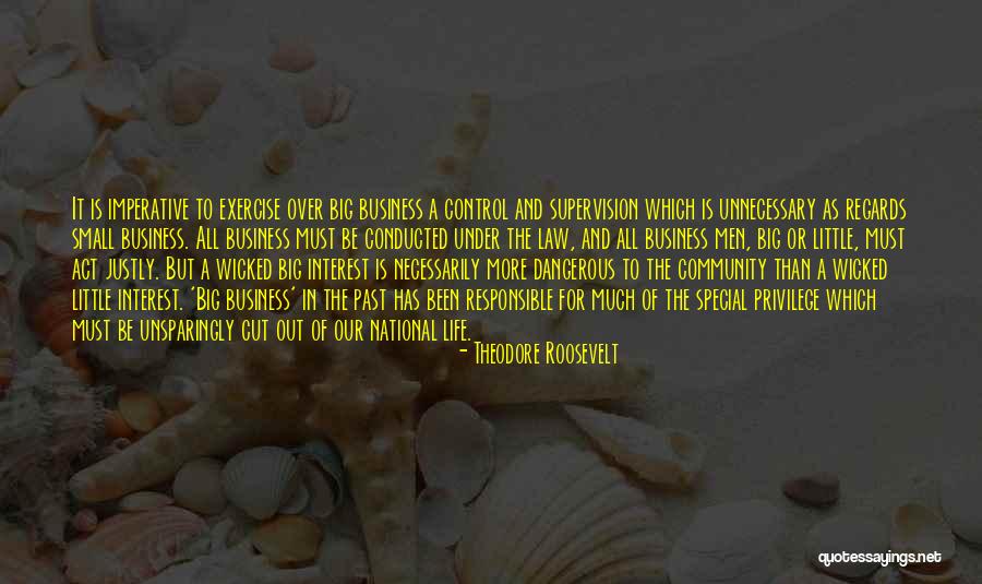 Vondrachek Quotes By Theodore Roosevelt Vondrachek Quotes By Theodore Roosevelt