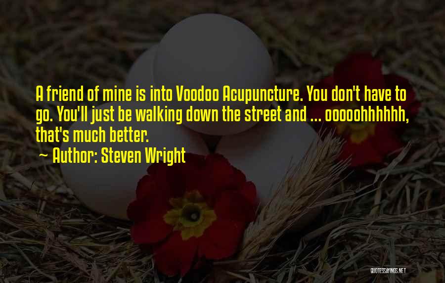 Voodoo Quotes By Steven Wright