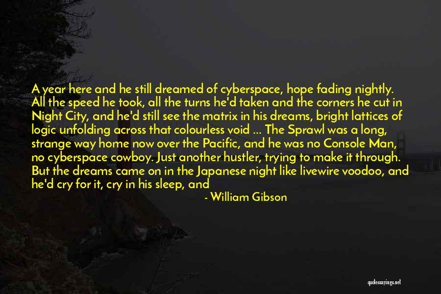 Voodoo Quotes By William Gibson