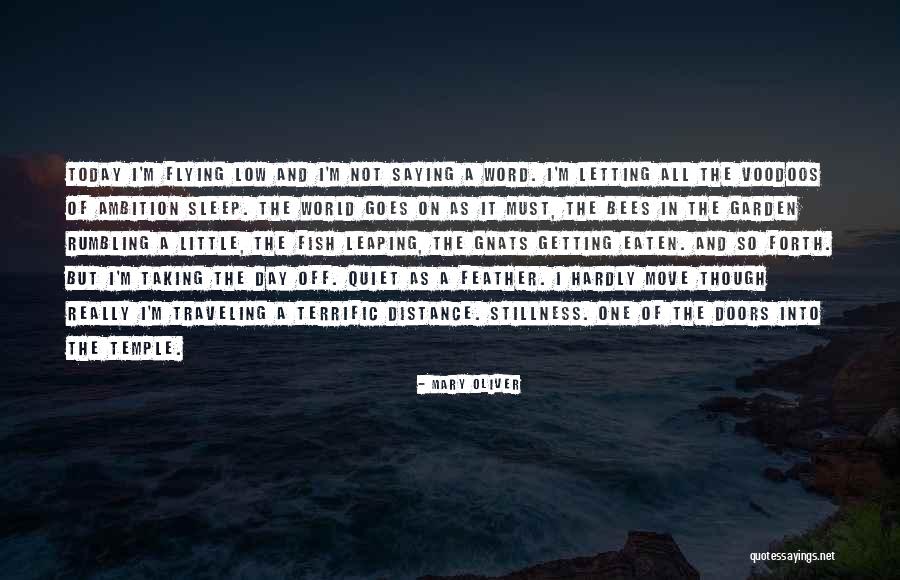Voodoos Quotes By Mary Oliver Voodoos Quotes By Mary Oliver