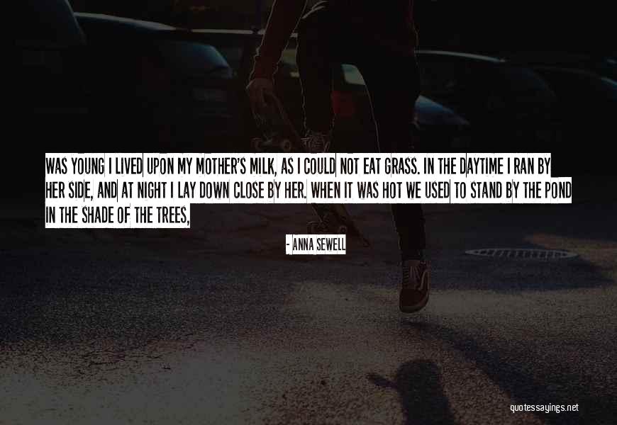 Voom Voom Quotes By Anna Sewell Voom Voom Quotes By Anna Sewell