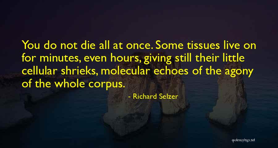 Voorbijwandelen Quotes By Richard Selzer Voorbijwandelen Quotes By Richard Selzer