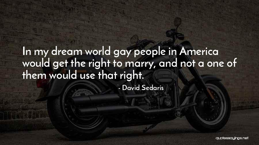 Voordelen Lerarenkaart Quotes By David Sedaris Voordelen Lerarenkaart Quotes By David Sedaris