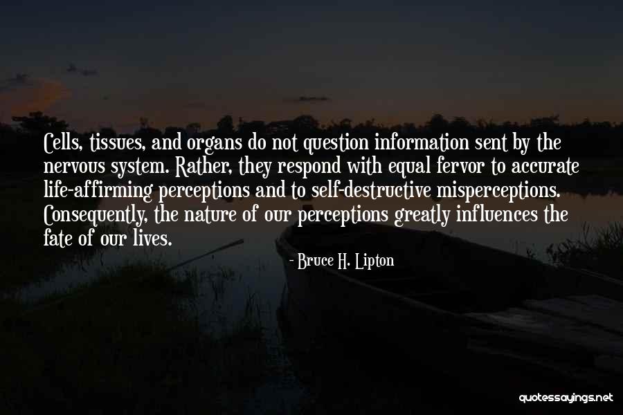 Voorhoeve Disease Quotes By Bruce H. Lipton Voorhoeve Disease Quotes By Bruce H. Lipton