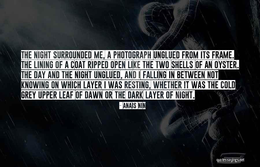 Voorkeur Vertaling Quotes By Anais Nin Voorkeur Vertaling Quotes By Anais Nin