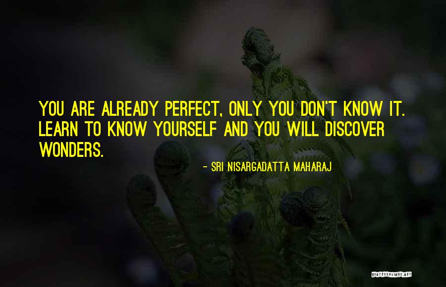 Voorsanger Associates Quotes By Sri Nisargadatta Maharaj Voorsanger Associates Quotes By Sri Nisargadatta Maharaj