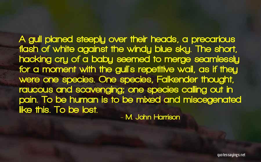 Voorschoten Weather Quotes By M. John Harrison
