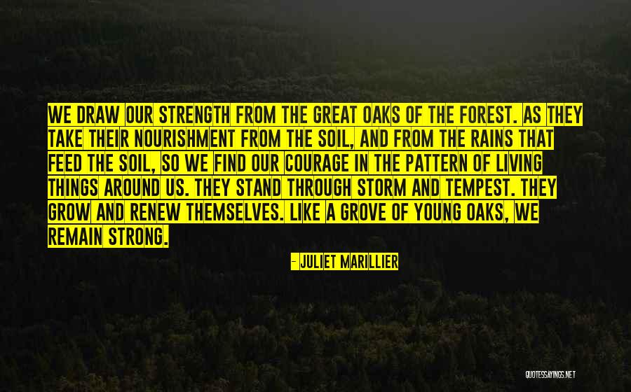 Voortman Wafers Quotes By Juliet Marillier Voortman Wafers Quotes By Juliet Marillier