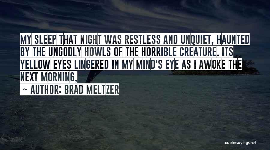 Vooruitzichten Quotes By Brad Meltzer