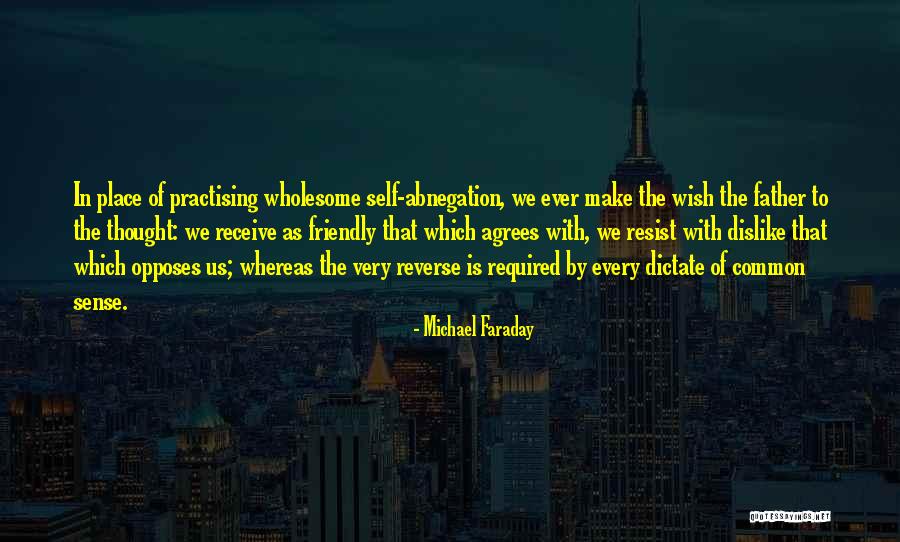 Voraz Solutions Quotes By Michael Faraday