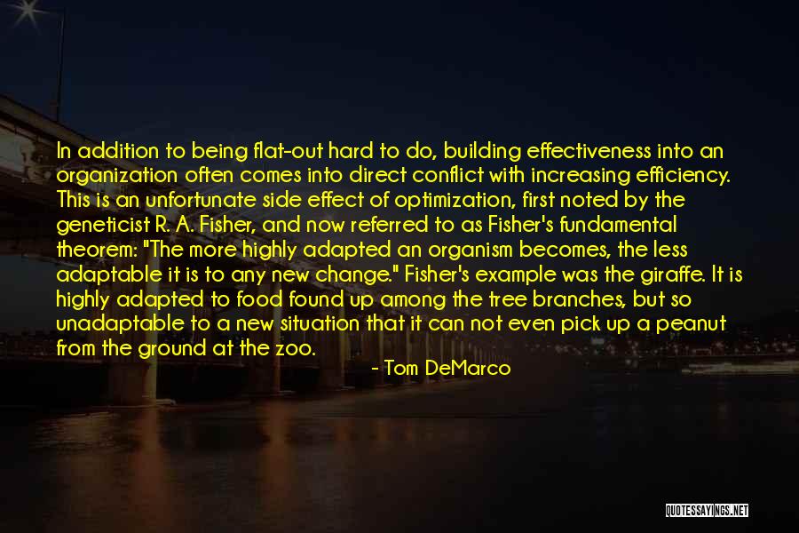 Voraz Solutions Quotes By Tom DeMarco