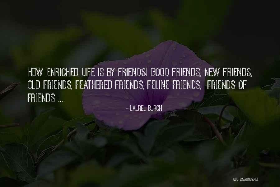 Vorbe Quotes By Laurel Burch Vorbe Quotes By Laurel Burch