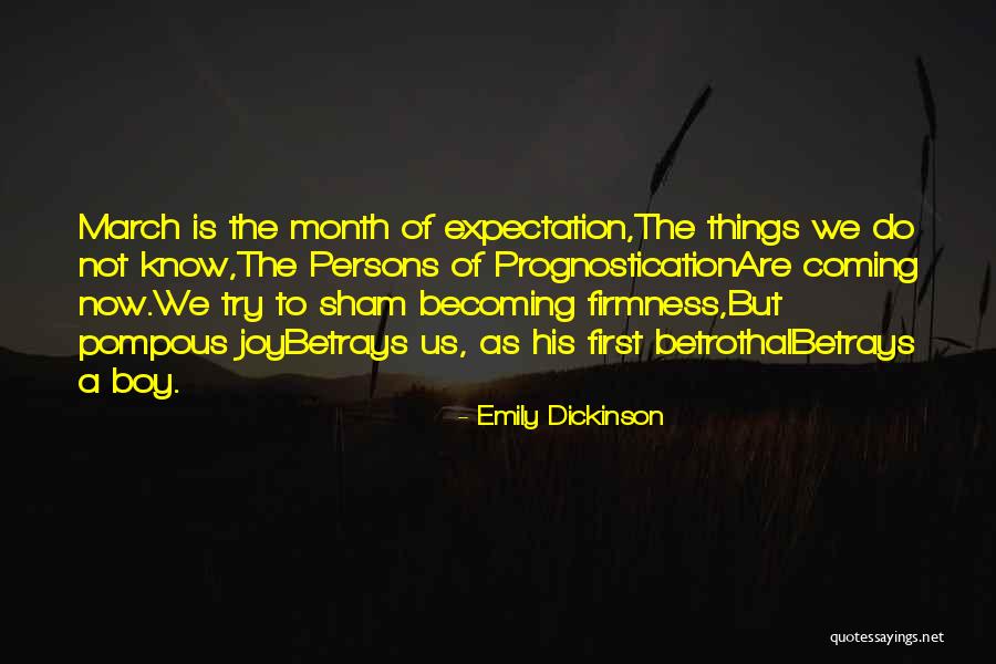 Vorbei Nevada Quotes By Emily Dickinson Vorbei Nevada Quotes By Emily Dickinson