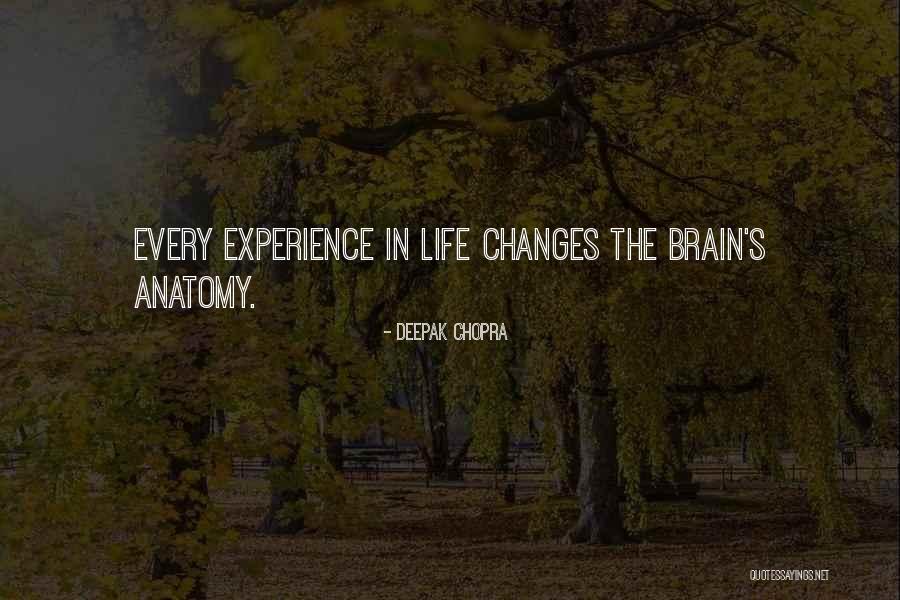 Vorfahren Suche Quotes By Deepak Chopra Vorfahren Suche Quotes By Deepak Chopra