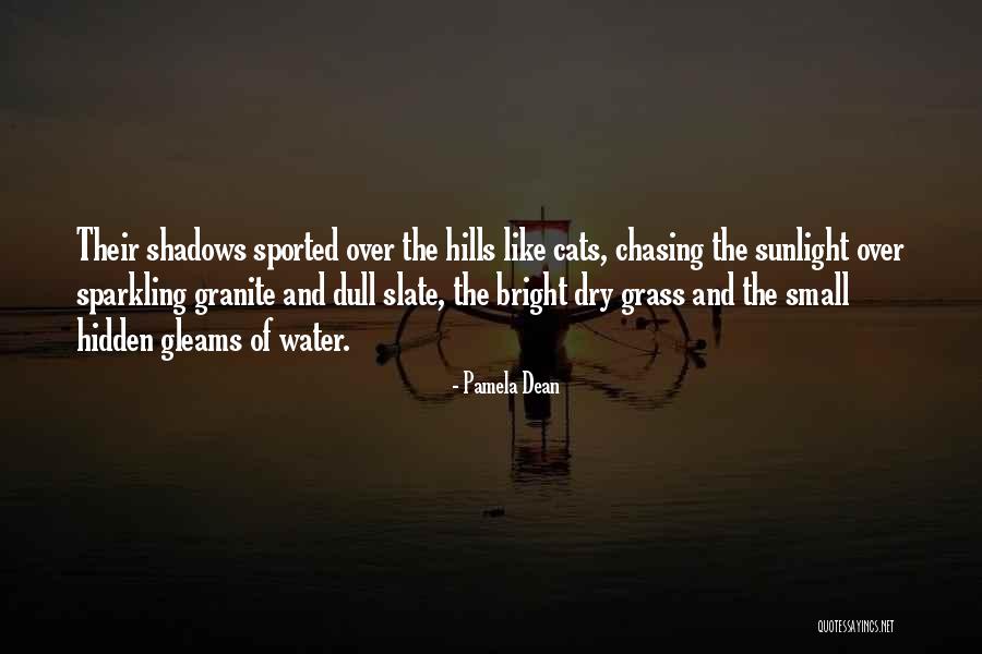 Vornehmlich Quotes By Pamela Dean Vornehmlich Quotes By Pamela Dean