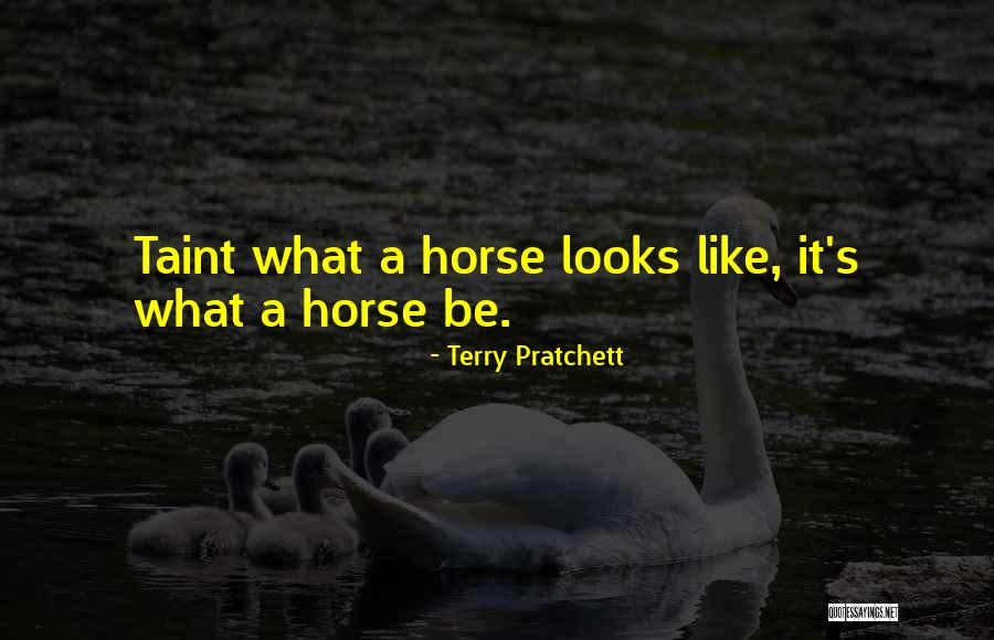 Vorst Nationaal Quotes By Terry Pratchett Vorst Nationaal Quotes By Terry Pratchett