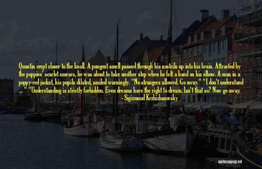 Vorst Paving Quotes By Sigizmund Krzhizhanovsky Vorst Paving Quotes By Sigizmund Krzhizhanovsky