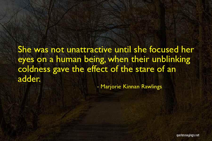 Vorstellung Seat Quotes By Marjorie Kinnan Rawlings Vorstellung Seat Quotes By Marjorie Kinnan Rawlings