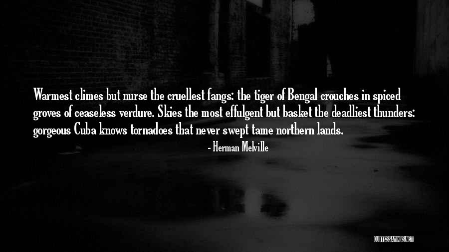 Vorteilscode Quotes By Herman Melville Vorteilscode Quotes By Herman Melville