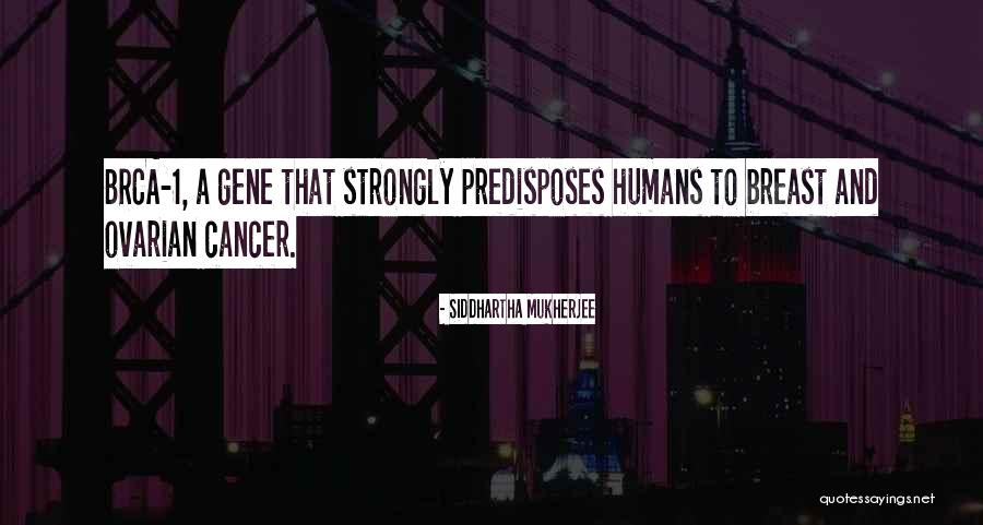 Vorticists In Painting Quotes By Siddhartha Mukherjee Vorticists In Painting Quotes By Siddhartha Mukherjee