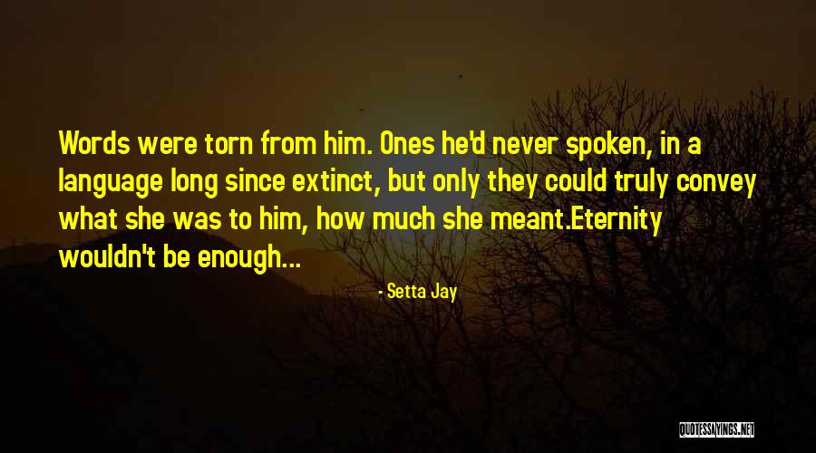Voskovec Quotes By Setta Jay Voskovec Quotes By Setta Jay
