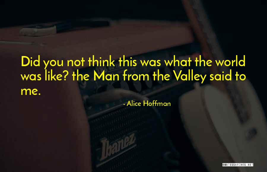 Vote And Skeleton Quotes By Alice Hoffman Vote And Skeleton Quotes By Alice Hoffman