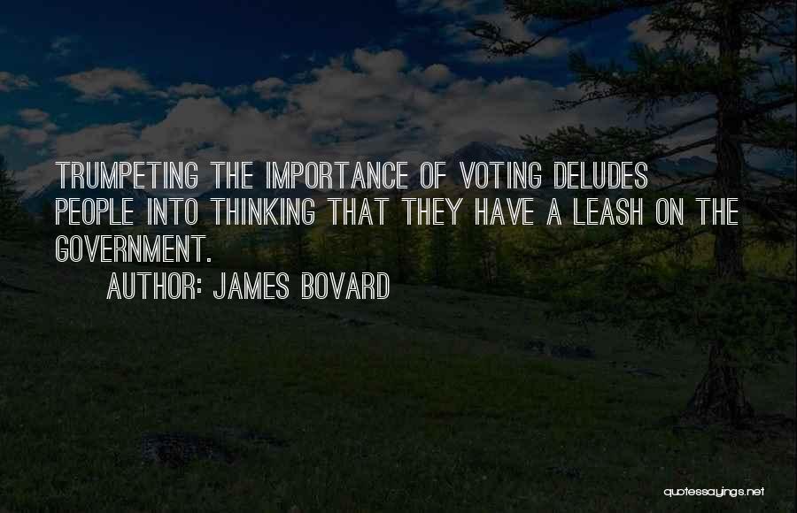 Voting Importance Quotes By James Bovard