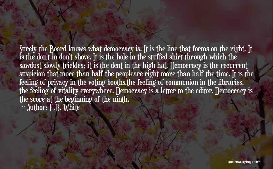 Voting In A Democracy Quotes By E.B. White