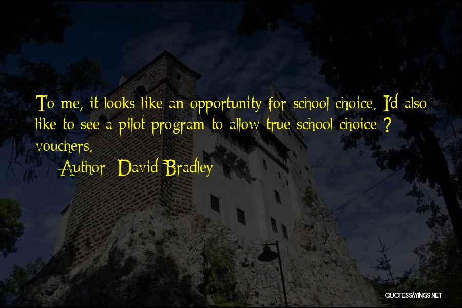 Vouchers Quotes By David Bradley