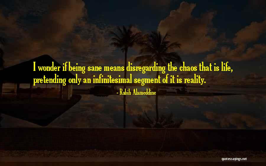 Voudrait French Quotes By Rabih Alameddine Voudrait French Quotes By Rabih Alameddine