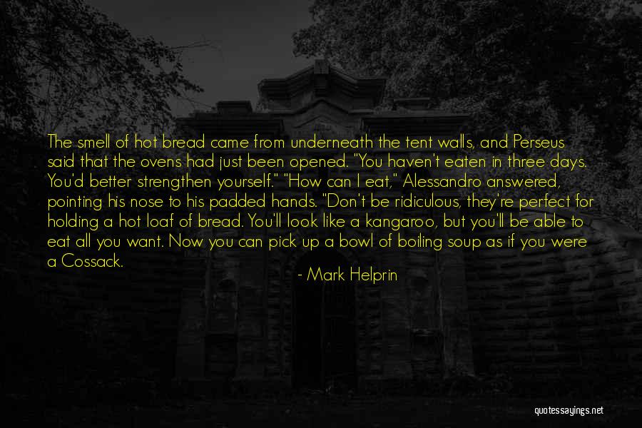 Voudriez Conjugation Quotes By Mark Helprin Voudriez Conjugation Quotes By Mark Helprin
