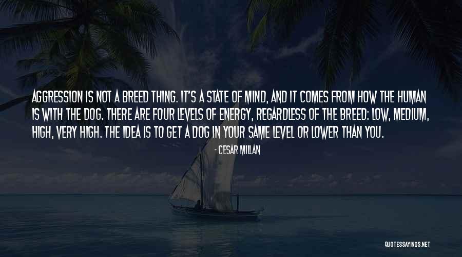 Vournas George Quotes By Cesar Millan Vournas George Quotes By Cesar Millan
