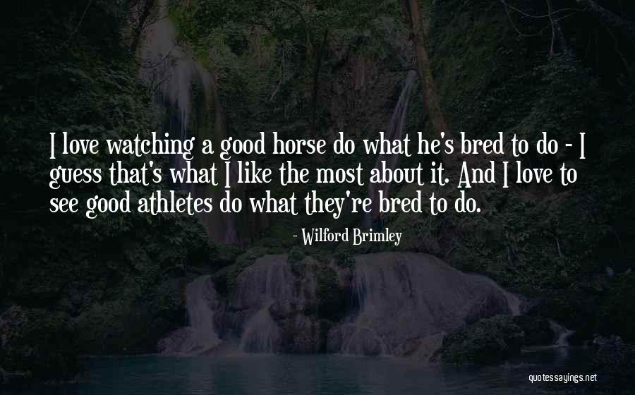 Vournas George Quotes By Wilford Brimley Vournas George Quotes By Wilford Brimley