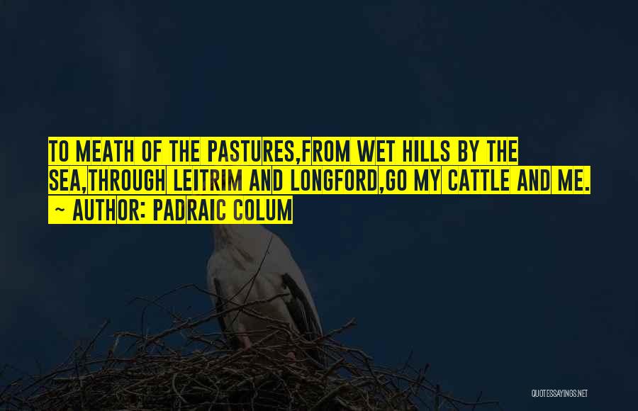 Voyages Quotes By Padraic Colum